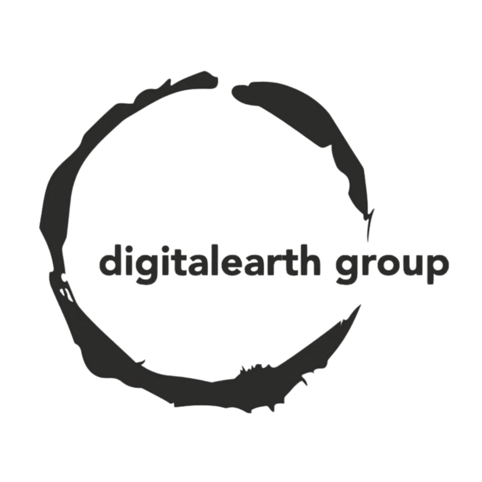 Digital Earth Group